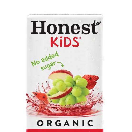 wendys honest kids fruit punch price.